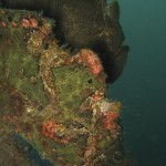 sulawesi-ocean-rover-78