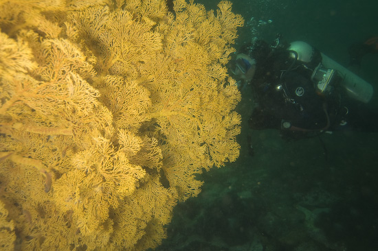 myanmar-burma-liveaboard-57