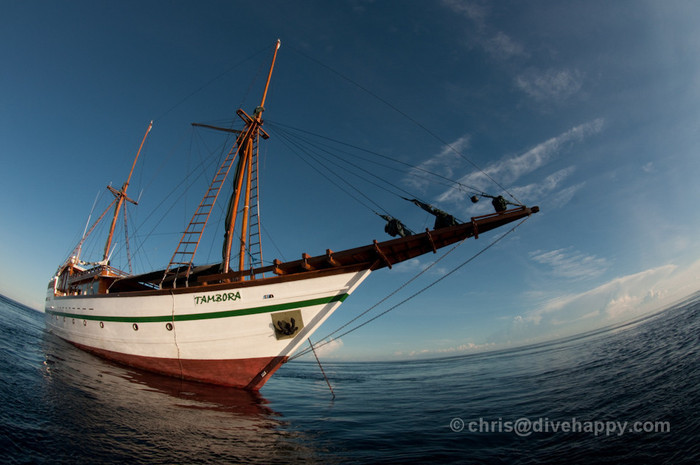Tambora Liveaboard, Indonesia