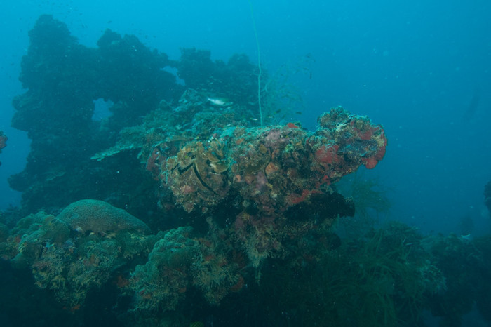 The business end of the front mounted gun on the Japanese oil transporter Iro in Palau