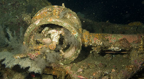 Telegraph from Sophie Rickmers wreck, Palau Weh