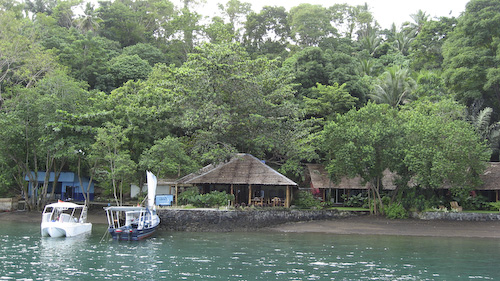 lembeh-strait-diving-nad-20