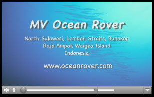 Ocean Rover video Ocean Rover video