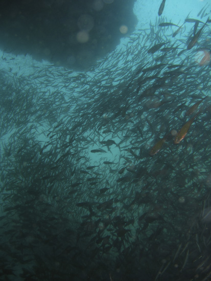 Fish and Canyon,  In Through The Out Door, Burma