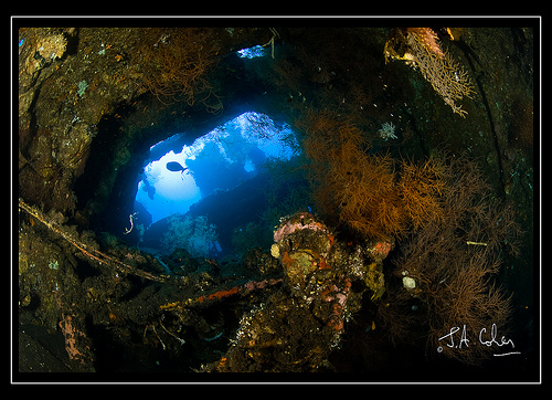 Wreck, Bali