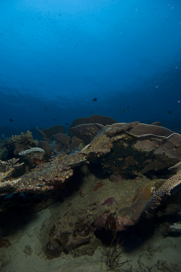 Nusa Laut Seascape