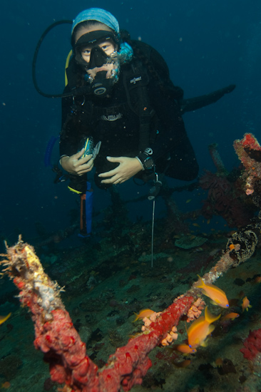 SJ on the Kuda Giri Wreck, Maldives